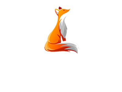 zorro soluciones